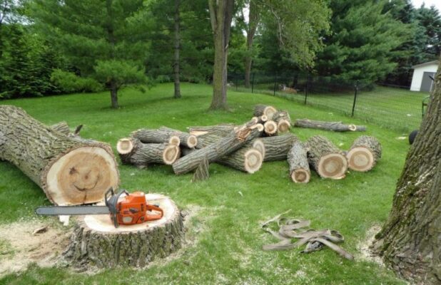Tree-Removal