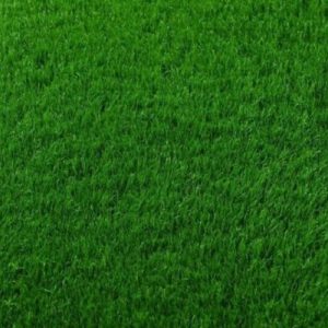 All Season Evergreen Instant Lawn