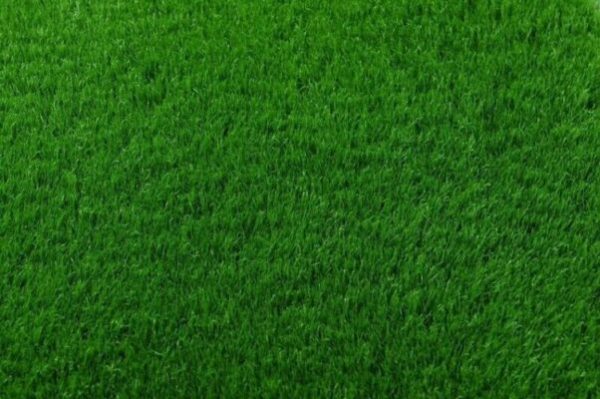All Season Evergreen Instant Lawn