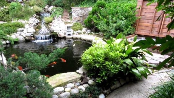 Koi Ponds