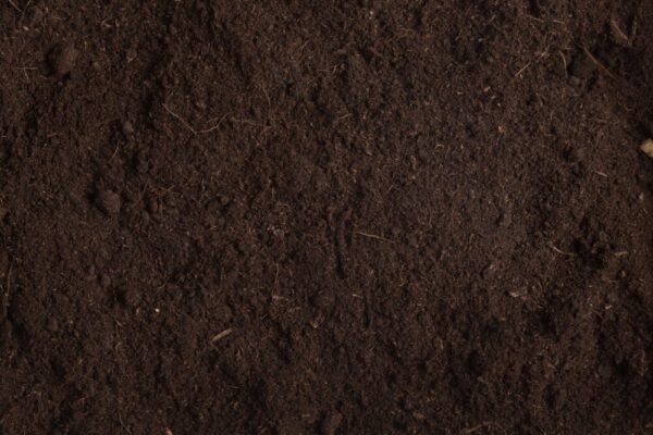 Lawn dressing for top dressing warm season lawns like kikuyu. Lawn dressing for top dressing warm season lawns like kikuyu.