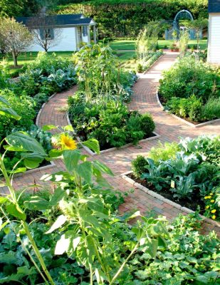 Well laid out veggie garden
