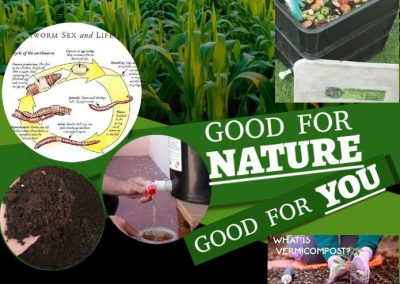 Small Earthworm Farming